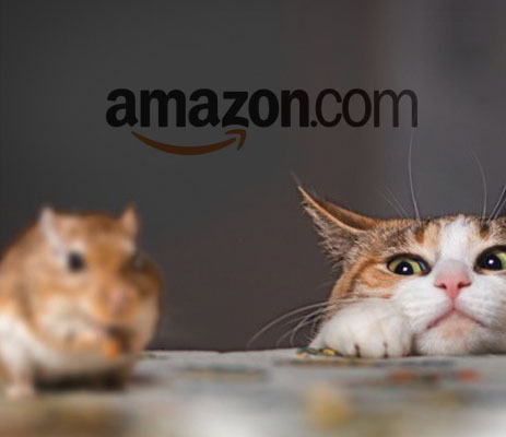 Defending Your Business Against Amazon: 3 Questions You Need to Ask Yourself Right Now